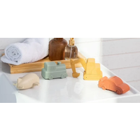 Vehicle Bath Toy Set*