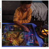 Gnomes at Night Seek and Find Glow Puzzle*