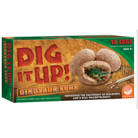 Dig It Up! Dinosaur Eggs- set of 12