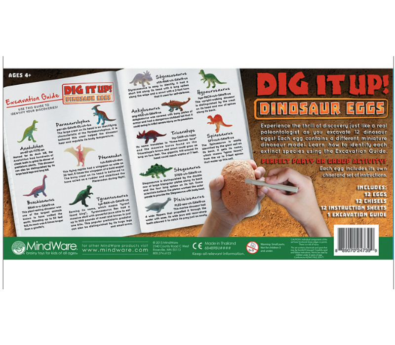 Dig It Up! Dinosaur Eggs- set of 12