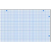 Baldwing School Supply Chart Paper, Graph 1 inch squares - 22 inches an 34 inches  way*