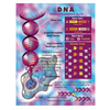 DNA Chart Grade 4-8