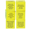 Foam Nonfiction Comprehension Cubes