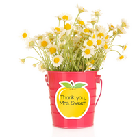 Apple Time Apples 3" Designer Cut-Outs