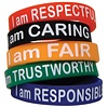 Teacher Created Resources Character Traits Bracelets, 10 pack