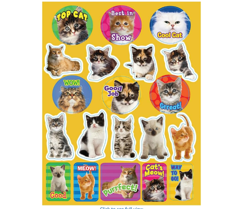 Motivational Cats Stickers (D)*