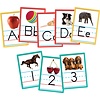 Alphabet & Numbers Instructional Accents*