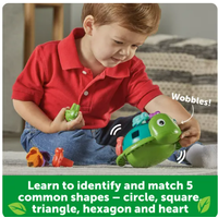 Seymour the Counting Shapes Sea Turtle*