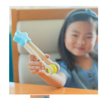 Count & Match Wooden Set*