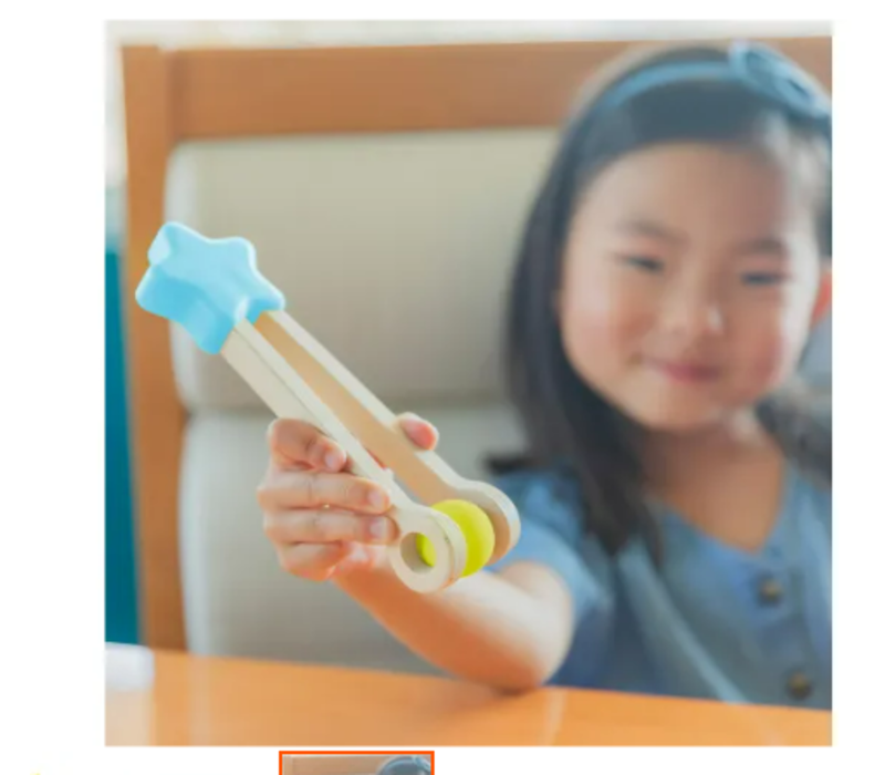 Count & Match Wooden Set*