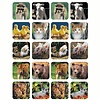 EUREKA Baby Animals Stickers (Real Photos)*
