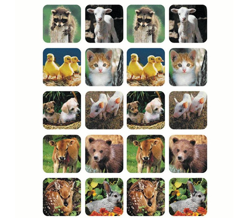 Baby Animals Stickers (Real Photos) (D)*