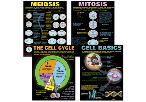 Teacher Created Resources Cells Poster Set