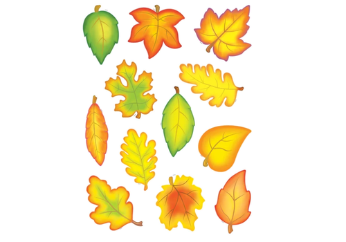 Teacher Created Resources Fall Leaves Accents*