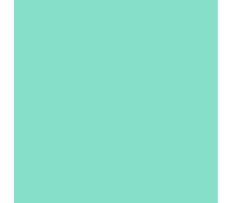 Papaya Party - Scented Matte Sea Foam Green Piggy Paint 0.25oz*