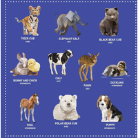 My Sticker Paintings - Baby Animals*