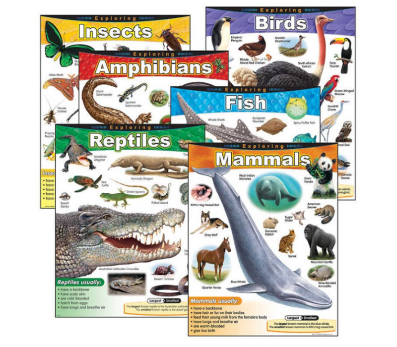 Exploring… Series Learning Charts Combo Pack