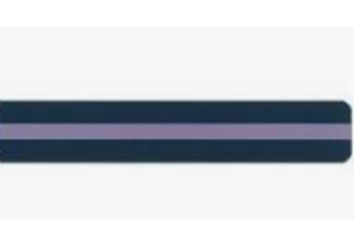 ASHLEY PRODUCTIONS READING GUIDE STRIPS PURPLE