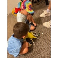 Amazing Animal Adventures  Camp - July 13-17