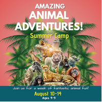 Amazing Animal Adventures  Camp - August 10-14