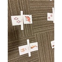 Amazing Animal Adventures  Camp - August 10-14