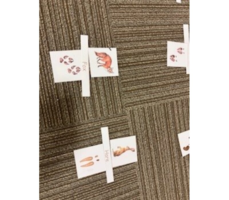 Amazing Animal Adventures  Camp - August 10-14