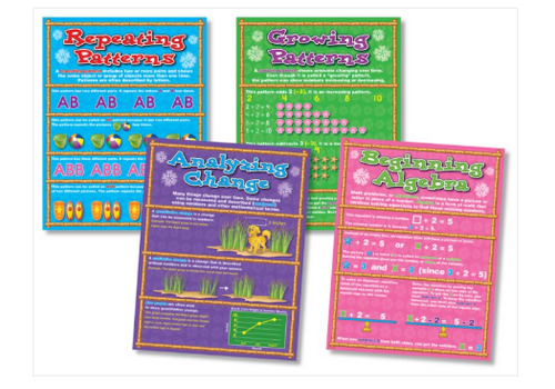 North Star Foundations in Algebra BBS  (D)