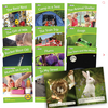 JUNIOR LEARNING Letters & Sounds Phase 4 Set 2 Non-Fiction