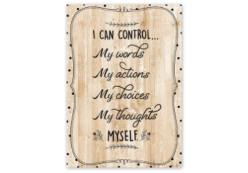Creative Teaching Press I Can Control... Poster