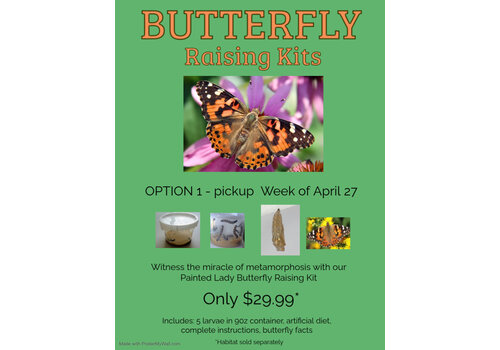 Butterflies & Roses Pre-Order Butterfly Raising Kit - Week of April 27th (Pickup, Delivery or Ship)