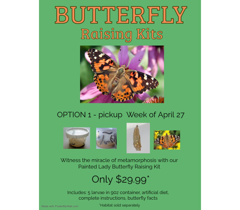 Pre-Order Butterfly Raising Kit - Week of April 27th (Pickup, Delivery or Ship)