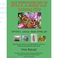 Pre-Order Butterfly Raising Kit - Week of May 4th (Pickup, Delivery or Ship)