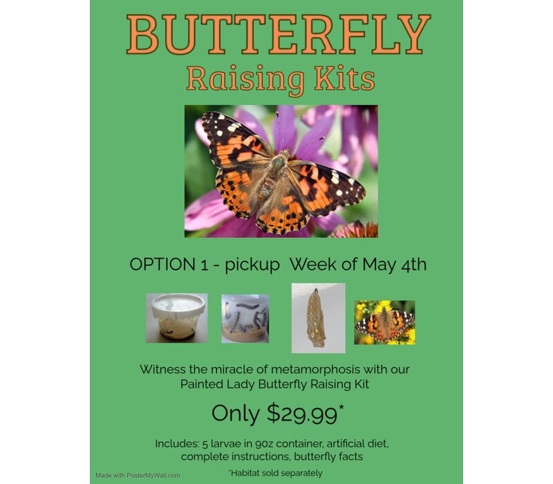 Pre-Order Butterfly Raising Kit - Week of May 4th (Pickup, Delivery or Ship)