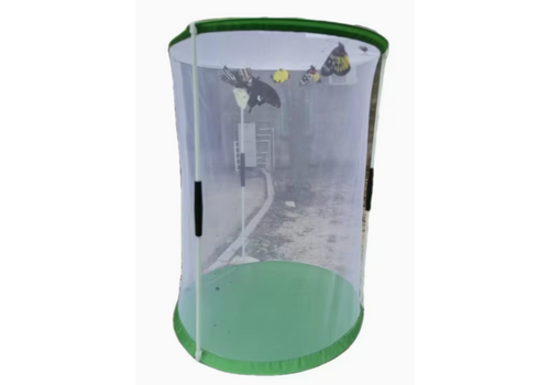 Butterfly Habitat for Butterfly Kit