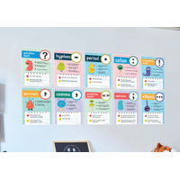 Mini Posters: Punctuation Poster Set Grade 1-5