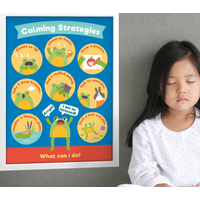 Calming Strategies Chart/ Poster Set