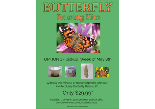 Butterflies & Roses Pre-Order Butterfly Raising Kit - Week of May 11th (Pickup, Delivery or Ship)