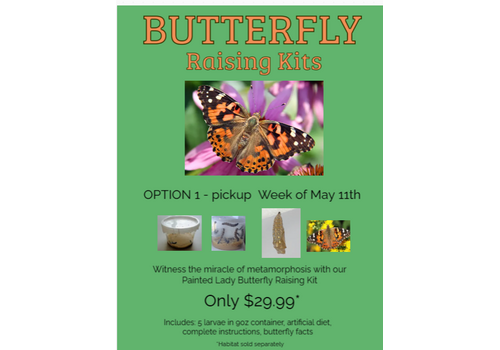 Butterflies & Roses Pre-Order Butterfly Raising Kit - Week of May 11th (Pickup, Delivery or Ship)