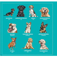 My Sticker Paintings - Dogs