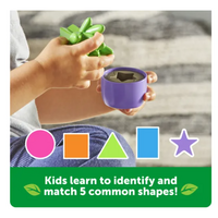 Shape & Color Garden