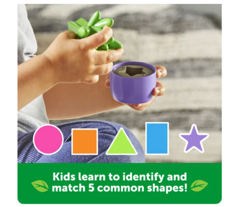 Shape & Color Garden