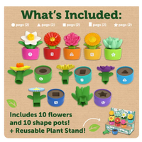 Shape & Color Garden