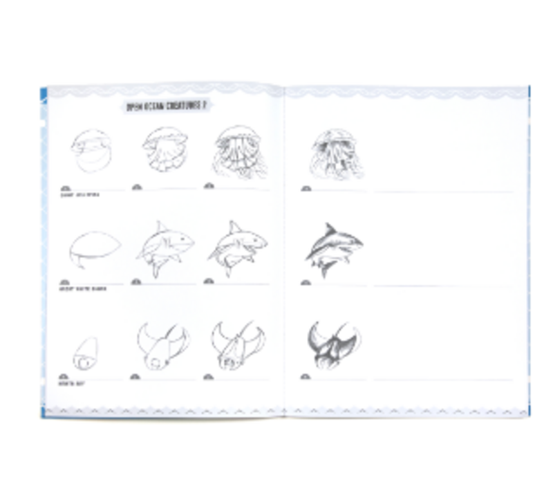 Learn to Draw Under the Sea  w/stickers*