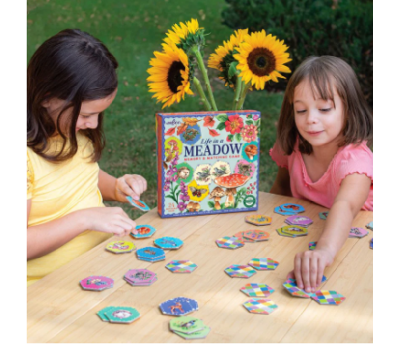 Life in a Meadow Matching Game *