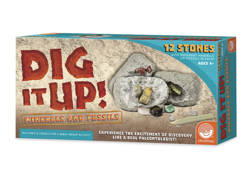 MindWare Dig It Up! Minerals and Fossils