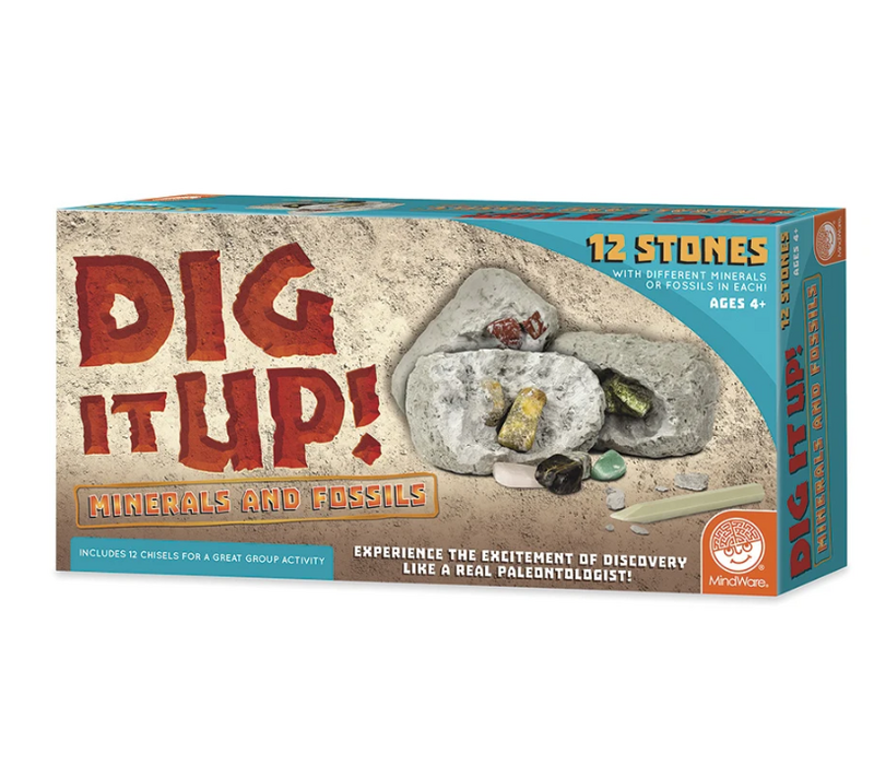 Dig It Up! Minerals and Fossils