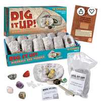 Dig It Up! Minerals and Fossils