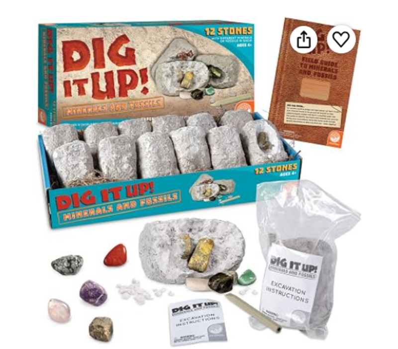 Dig It Up! Minerals and Fossils