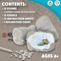 Dig It Up! Minerals and Fossils