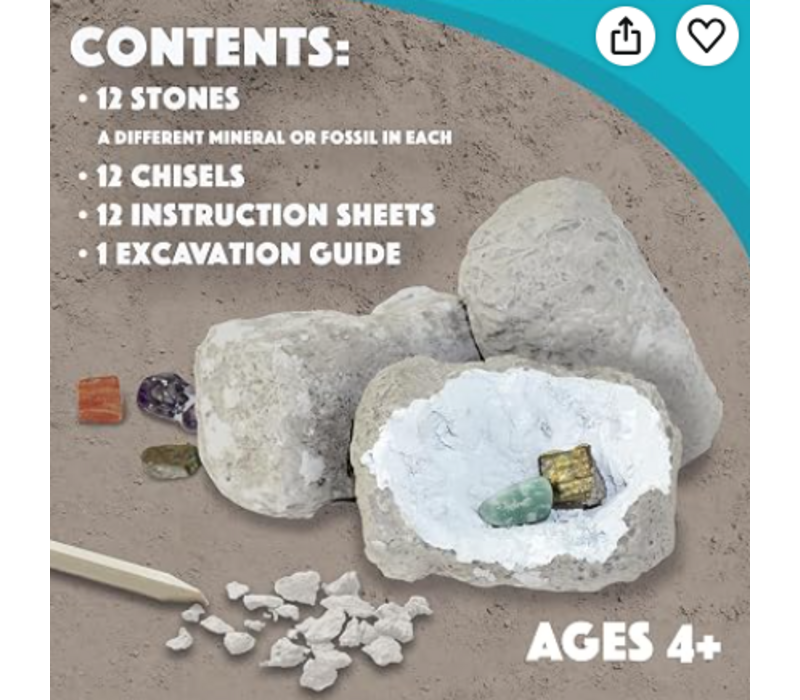 Dig It Up! Minerals and Fossils